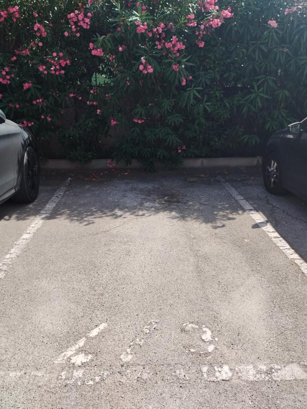 Attico Stella Διαμέρισμα Μπάρι Εξωτερικό φωτογραφία